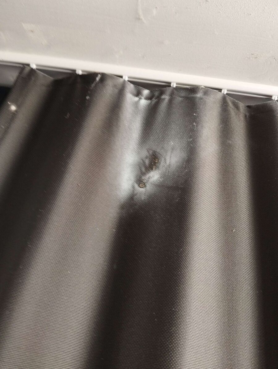  Bienennest entfernen