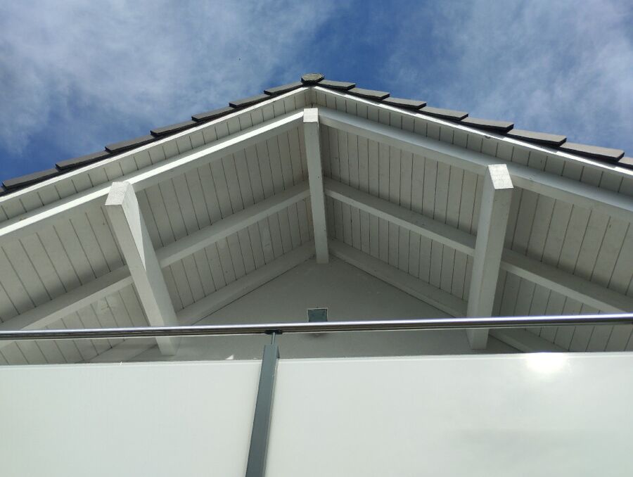  Bienennest entfernen.jpeg