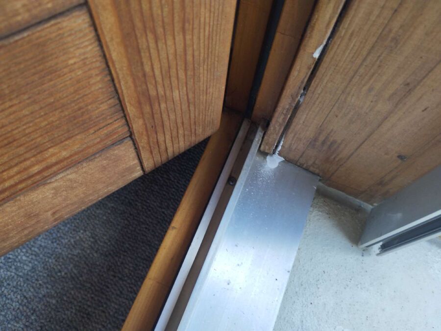  Bienennest entfernen.jpeg