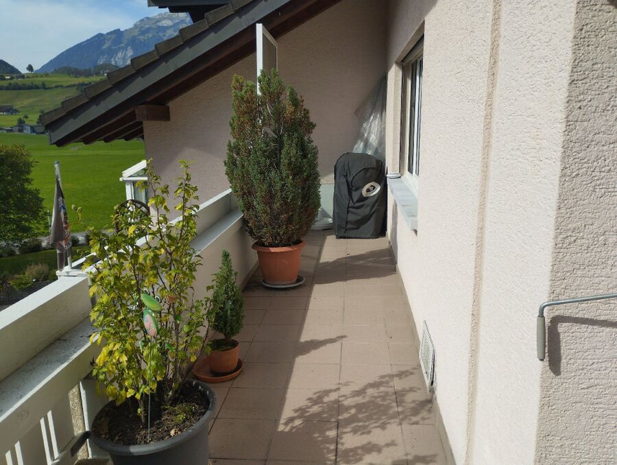  Bienennest entfernen.jpeg