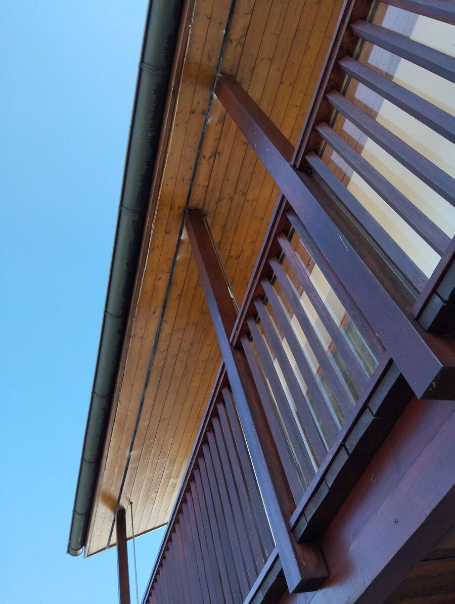  Bienennest entfernen