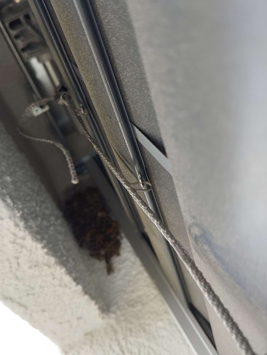  Bienennest entfernen