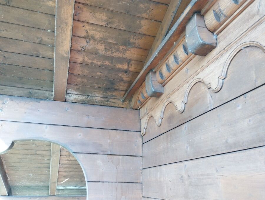 Bienen umsiedeln &  Bienennest entfernen 