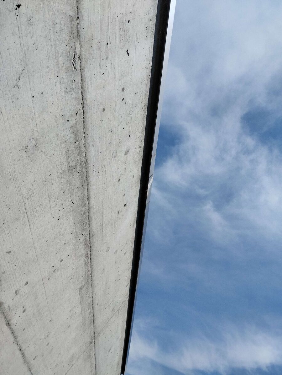 Bienen umsiedeln &  Bienennest entfernen 