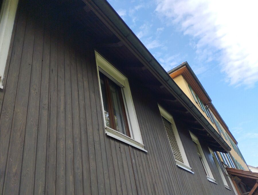 Bienen umsiedeln &  Bienennest entfernen 