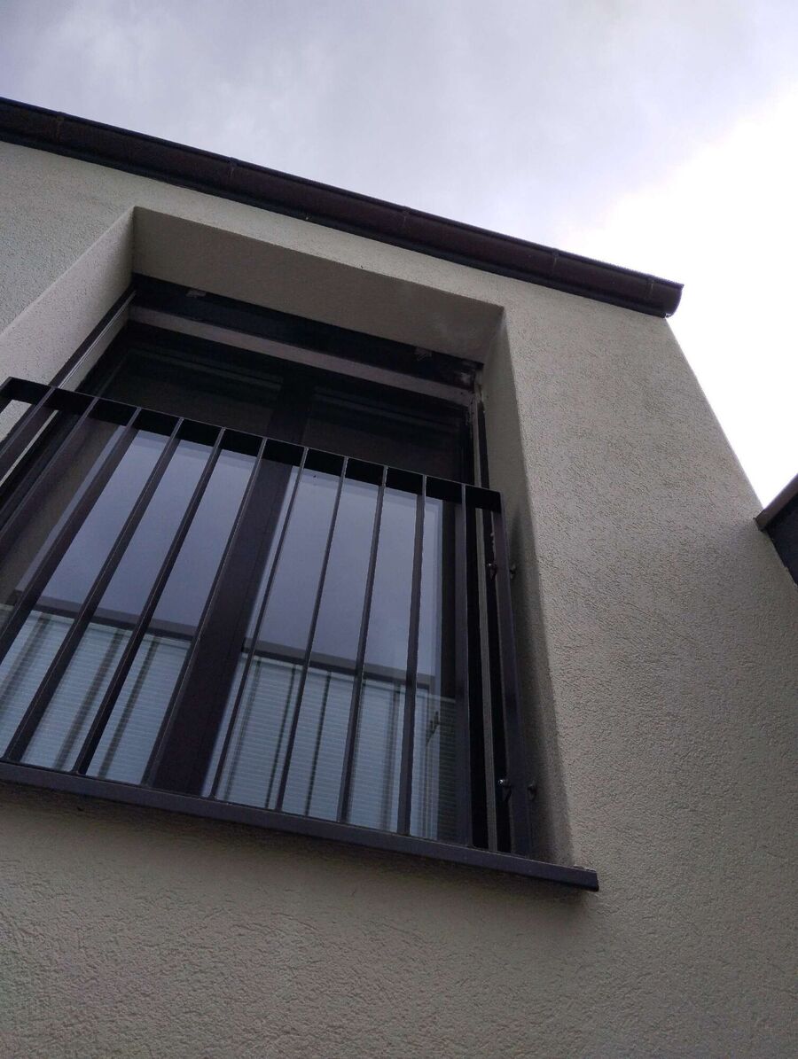  Bienennest entfernen.jpeg