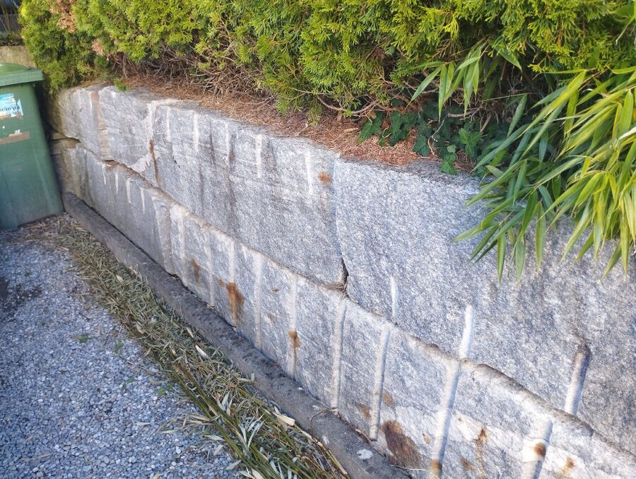 Bienen umsiedeln &  Bienennest entfernen 