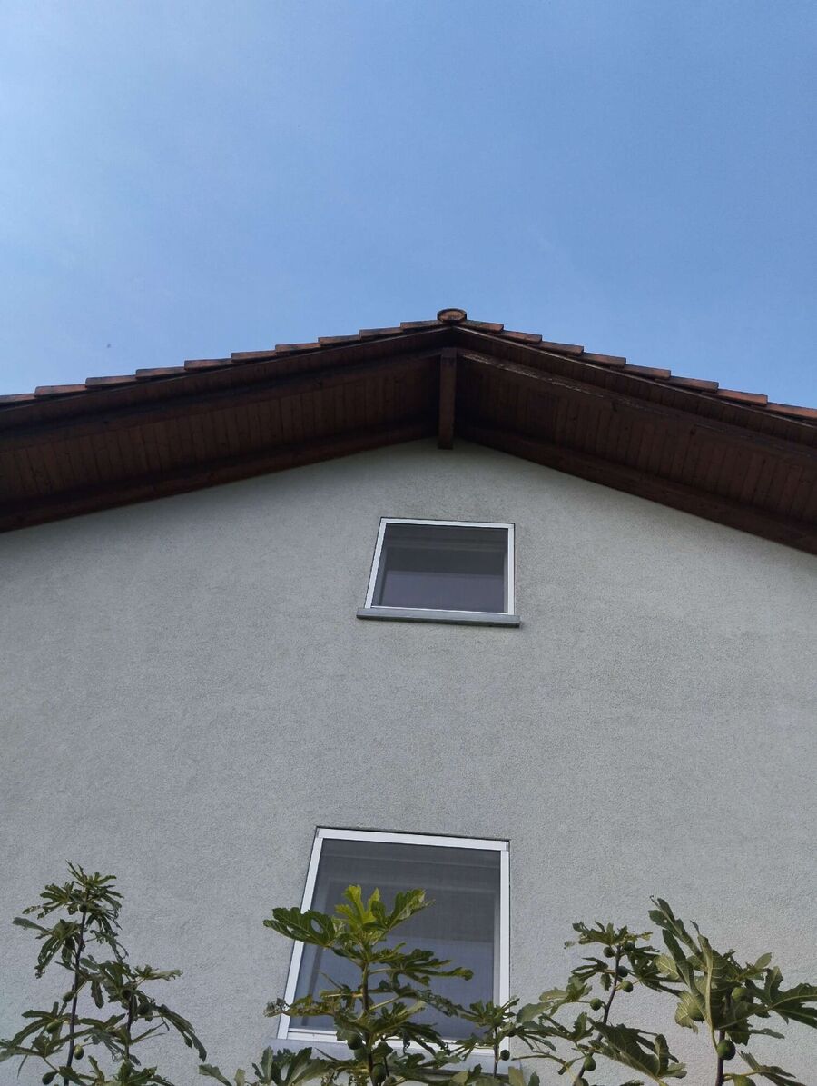  Bienennest entfernen.jpeg