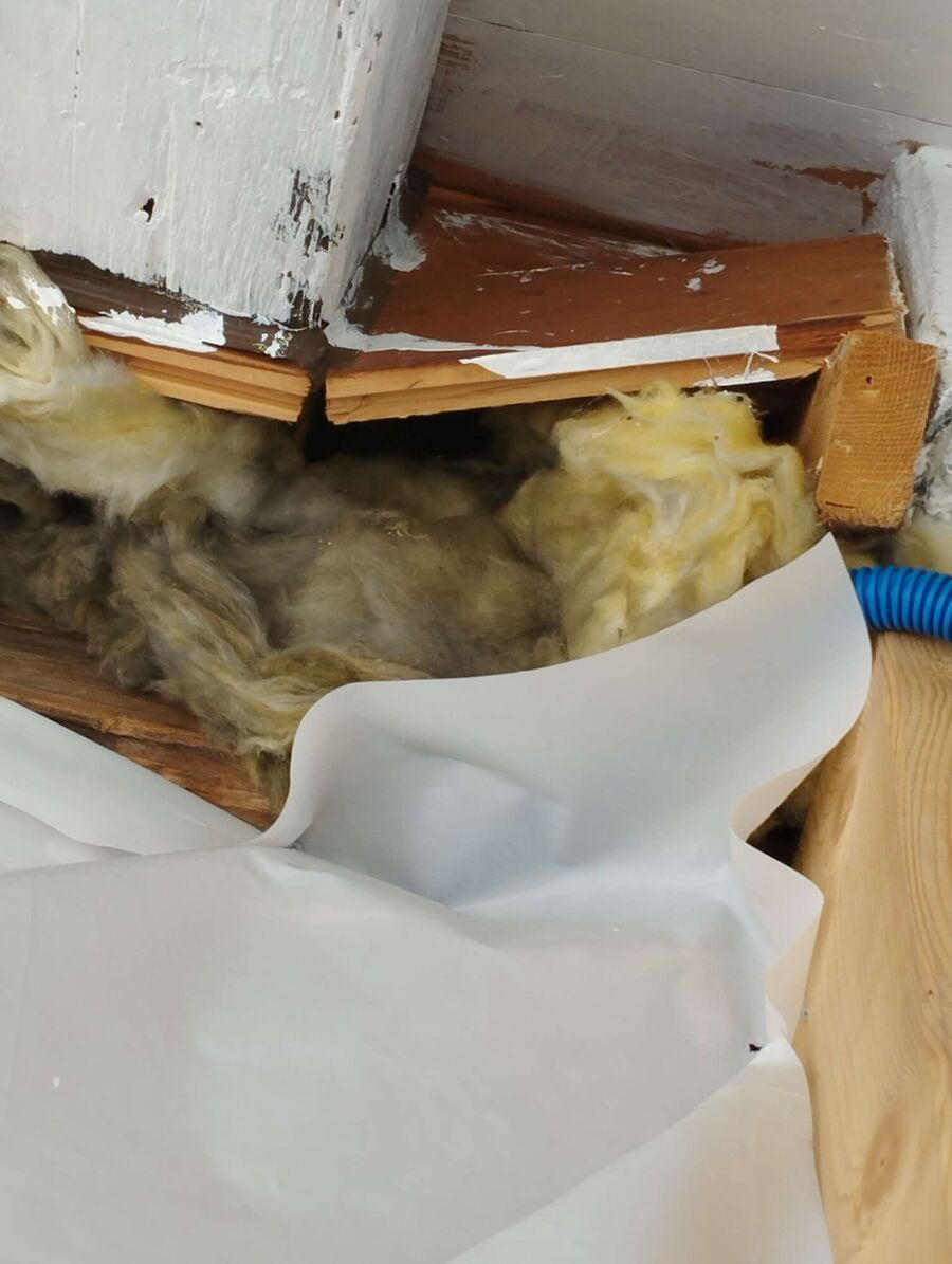  Bienennest entfernen