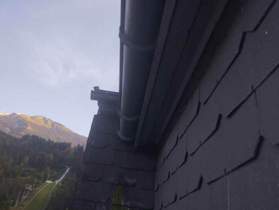  Bienennest entfernen