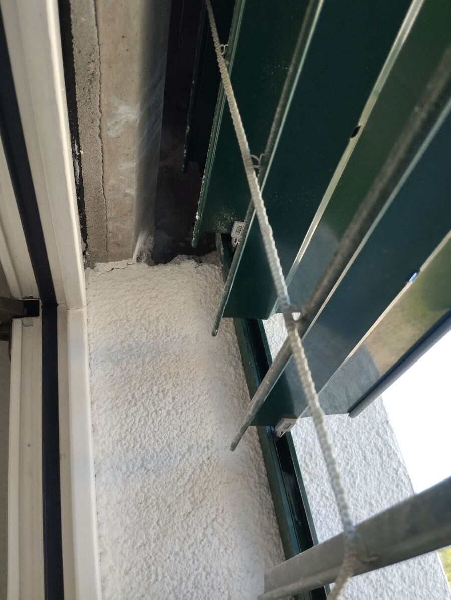 Bienen umsiedeln &  Bienennest entfernen 