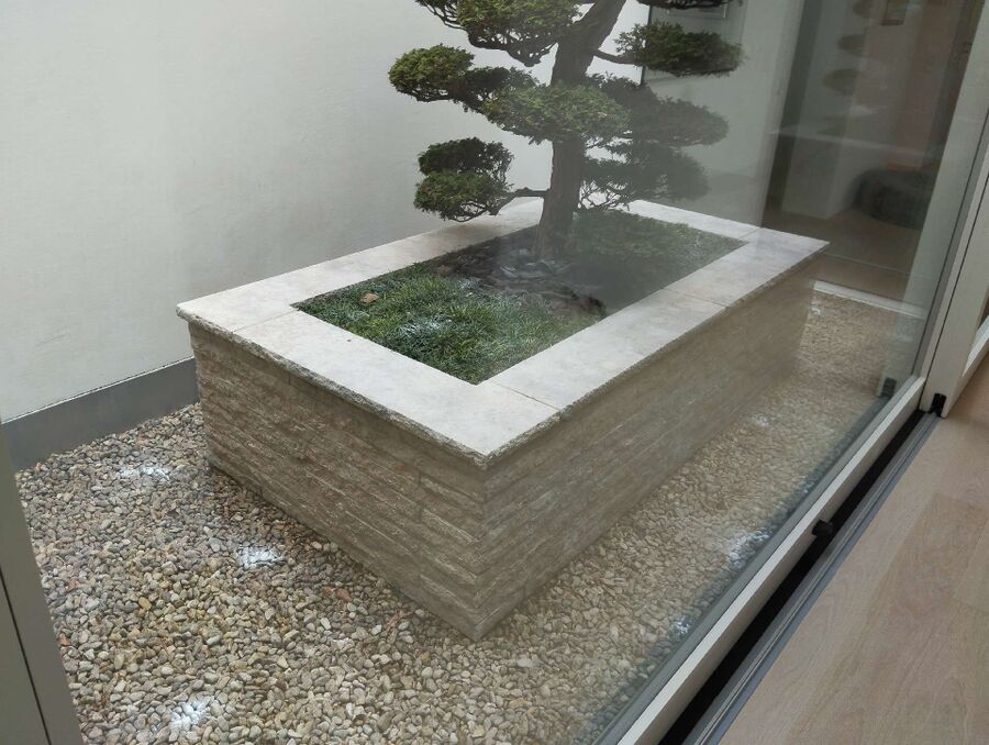  Bienennest entfernen.jpeg