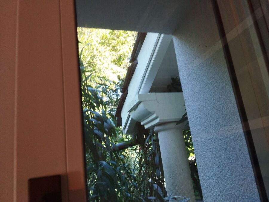 Bienen umsiedeln &  Bienennest entfernen 