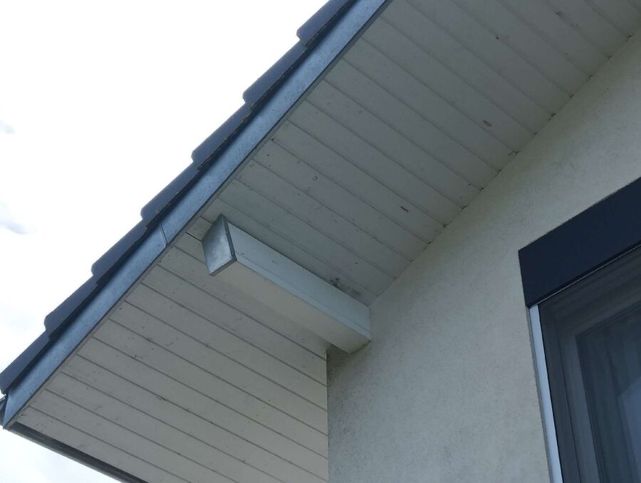  Bienennest entfernen.jpeg