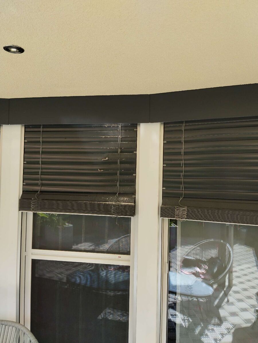  Bienennest entfernen