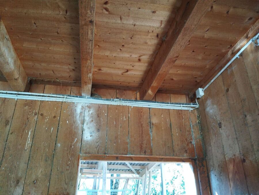  Bienennest entfernen.jpeg