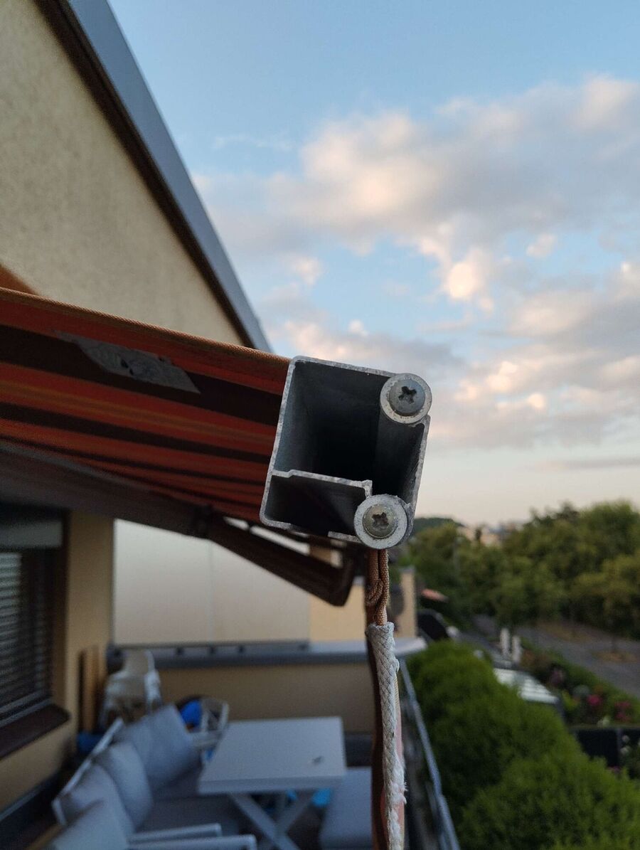 Bienen umsiedeln &  Bienennest entfernen 