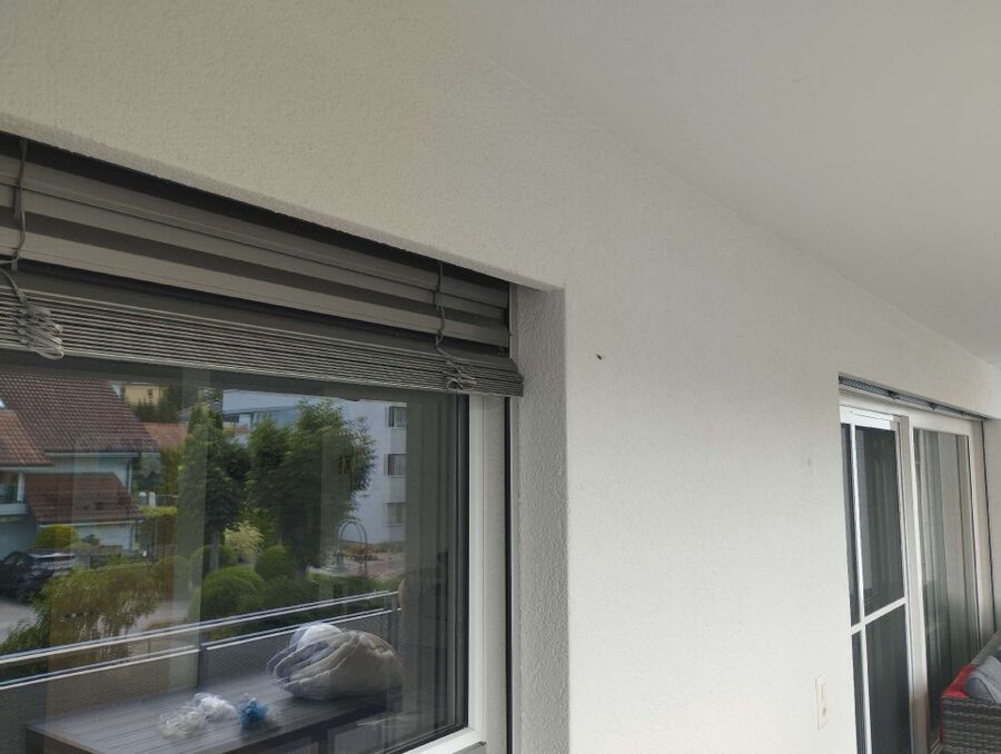  Bienennest entfernen