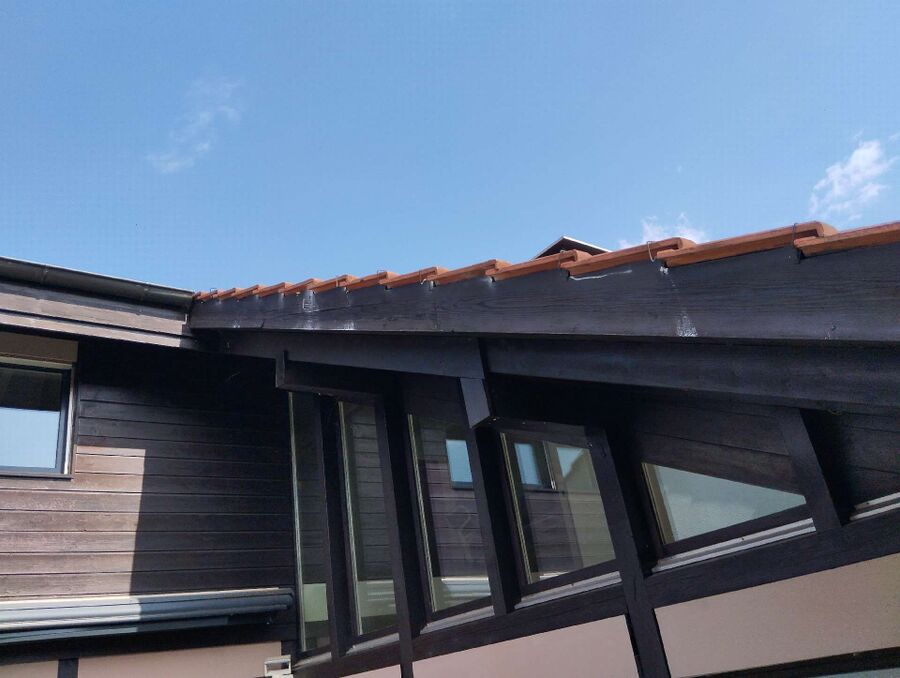 Bienen umsiedeln &  Bienennest entfernen 