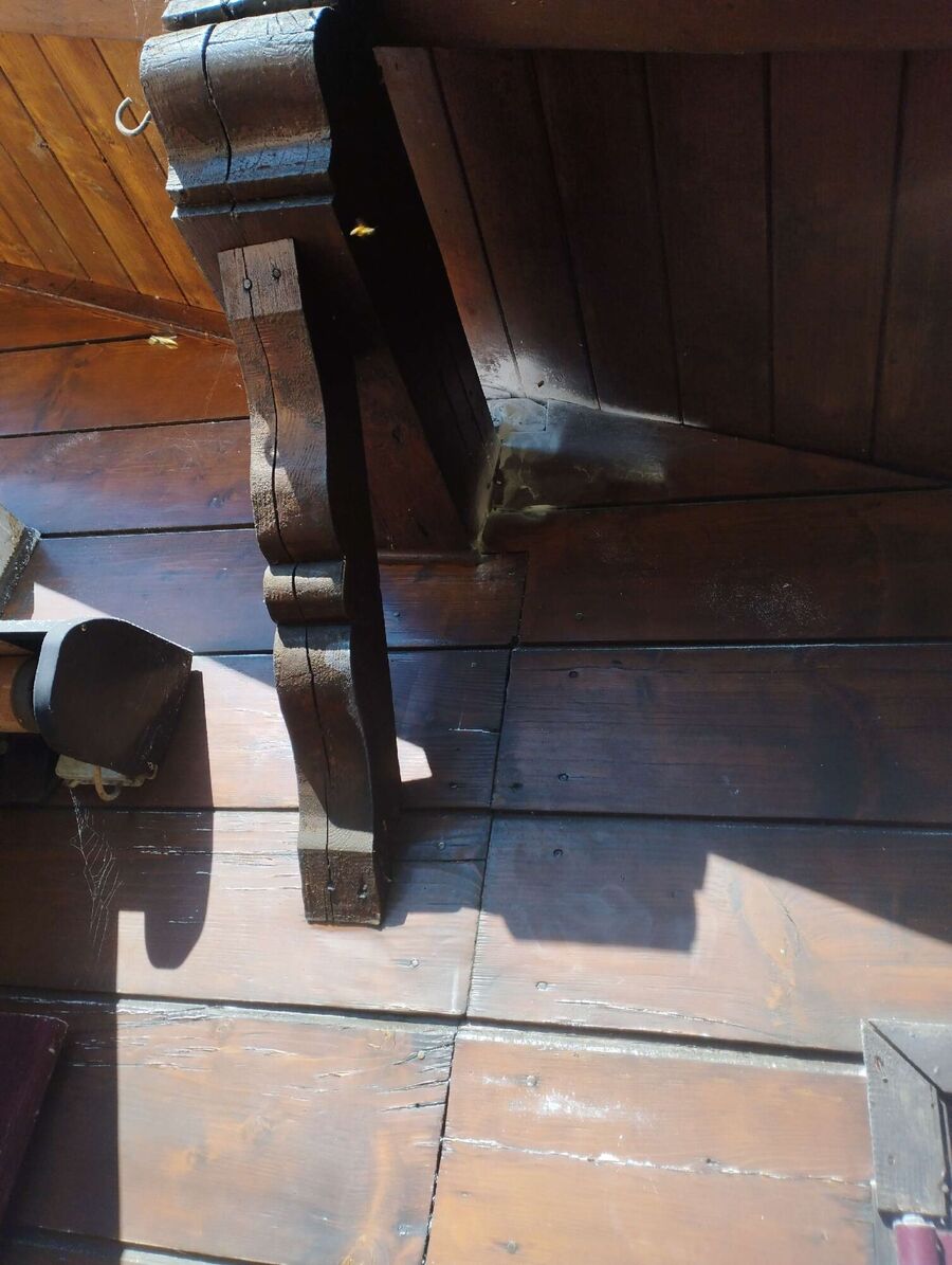 Bienen umsiedeln &  Bienennest entfernen 