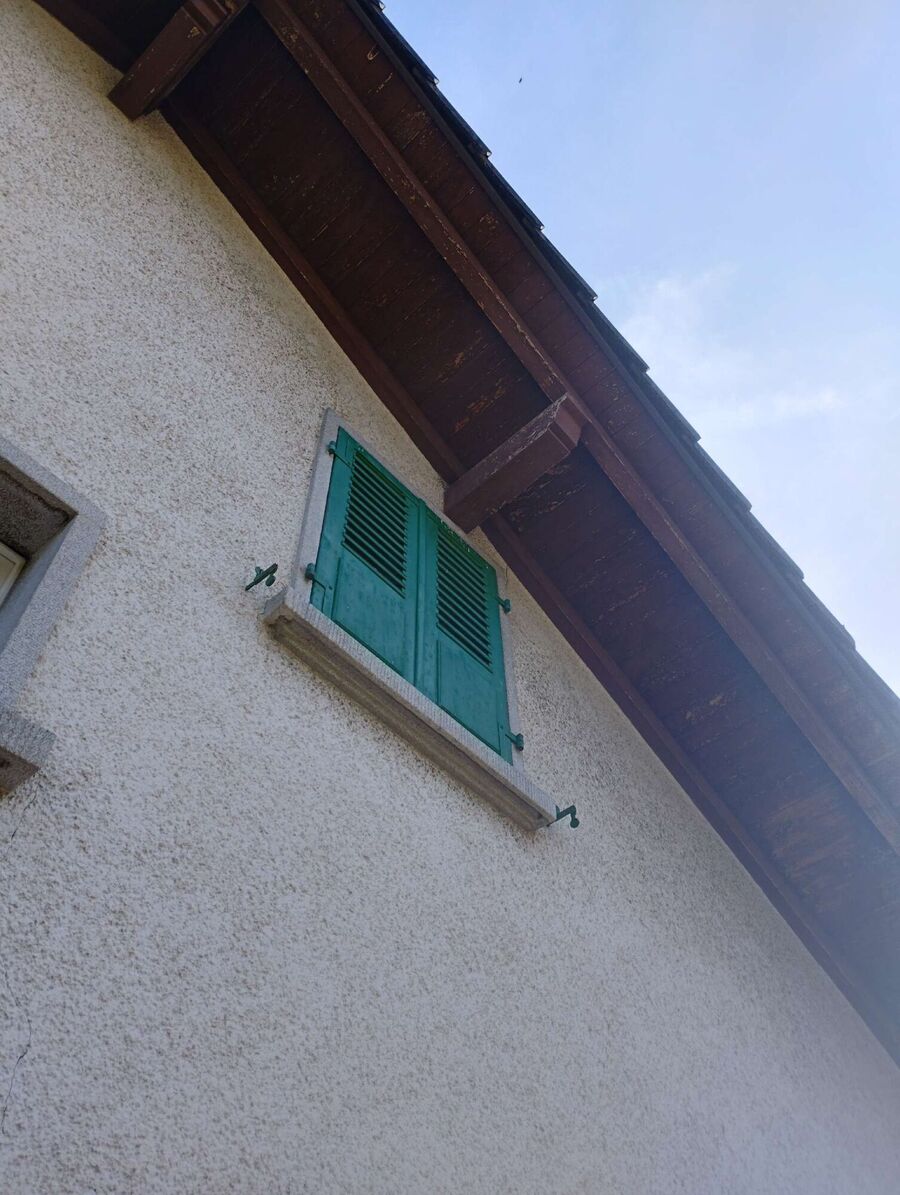  Bienennest entfernen