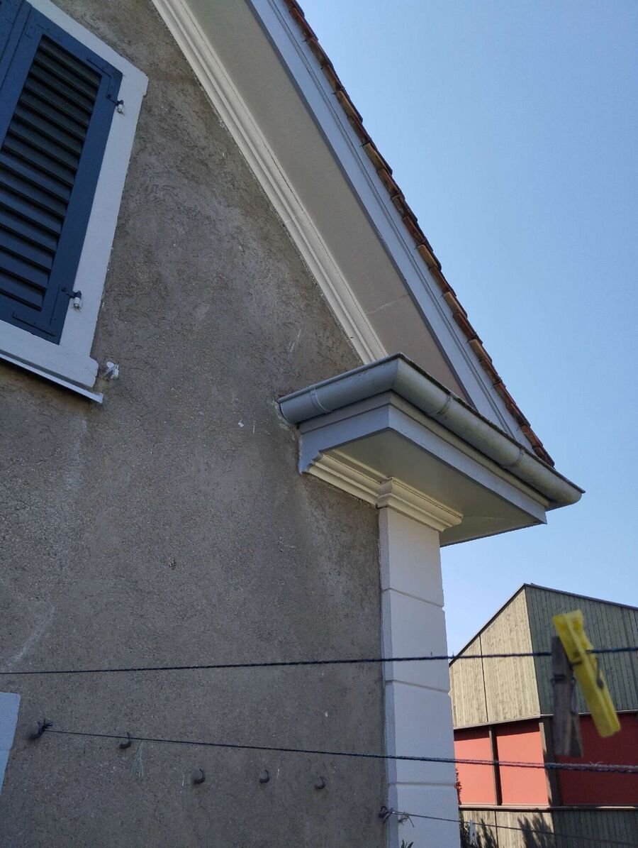  Bienennest entfernen.jpeg