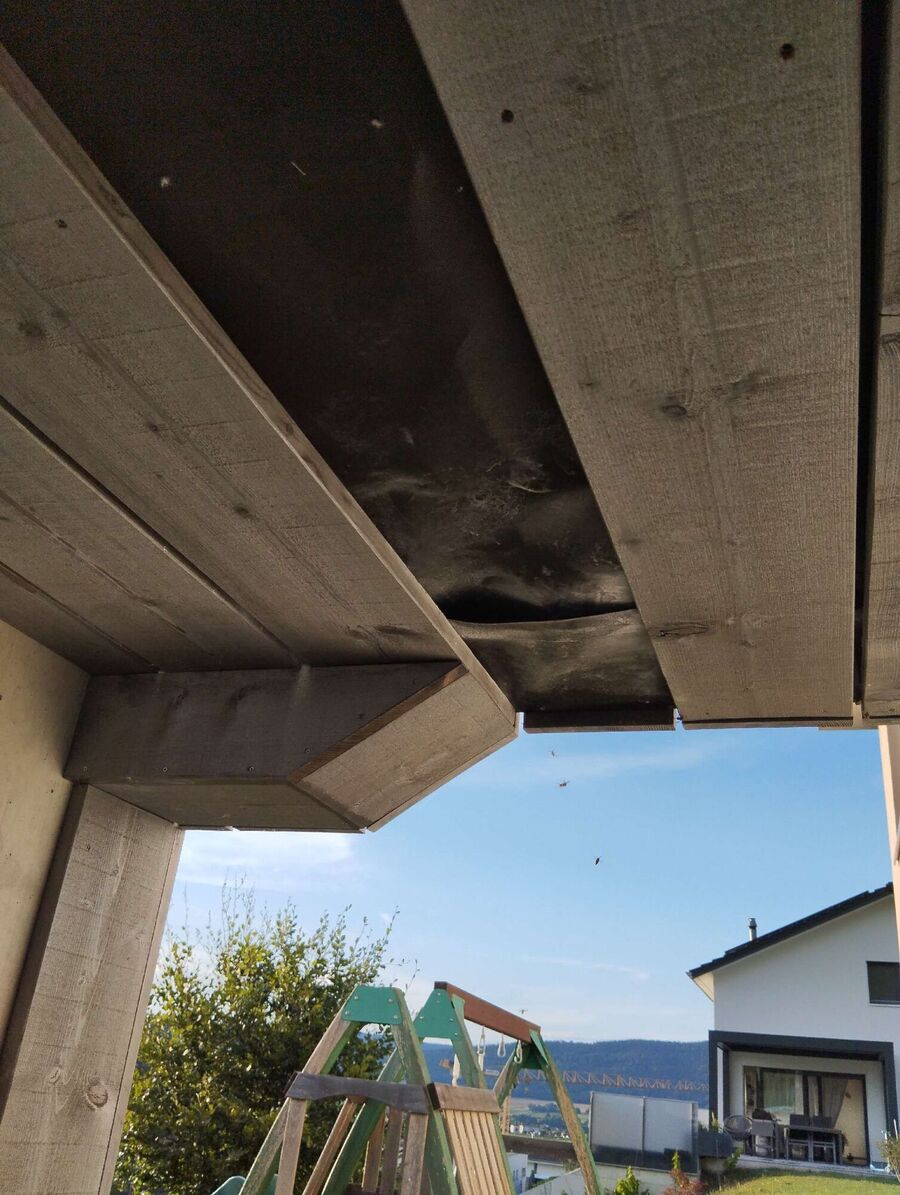  Bienennest entfernen