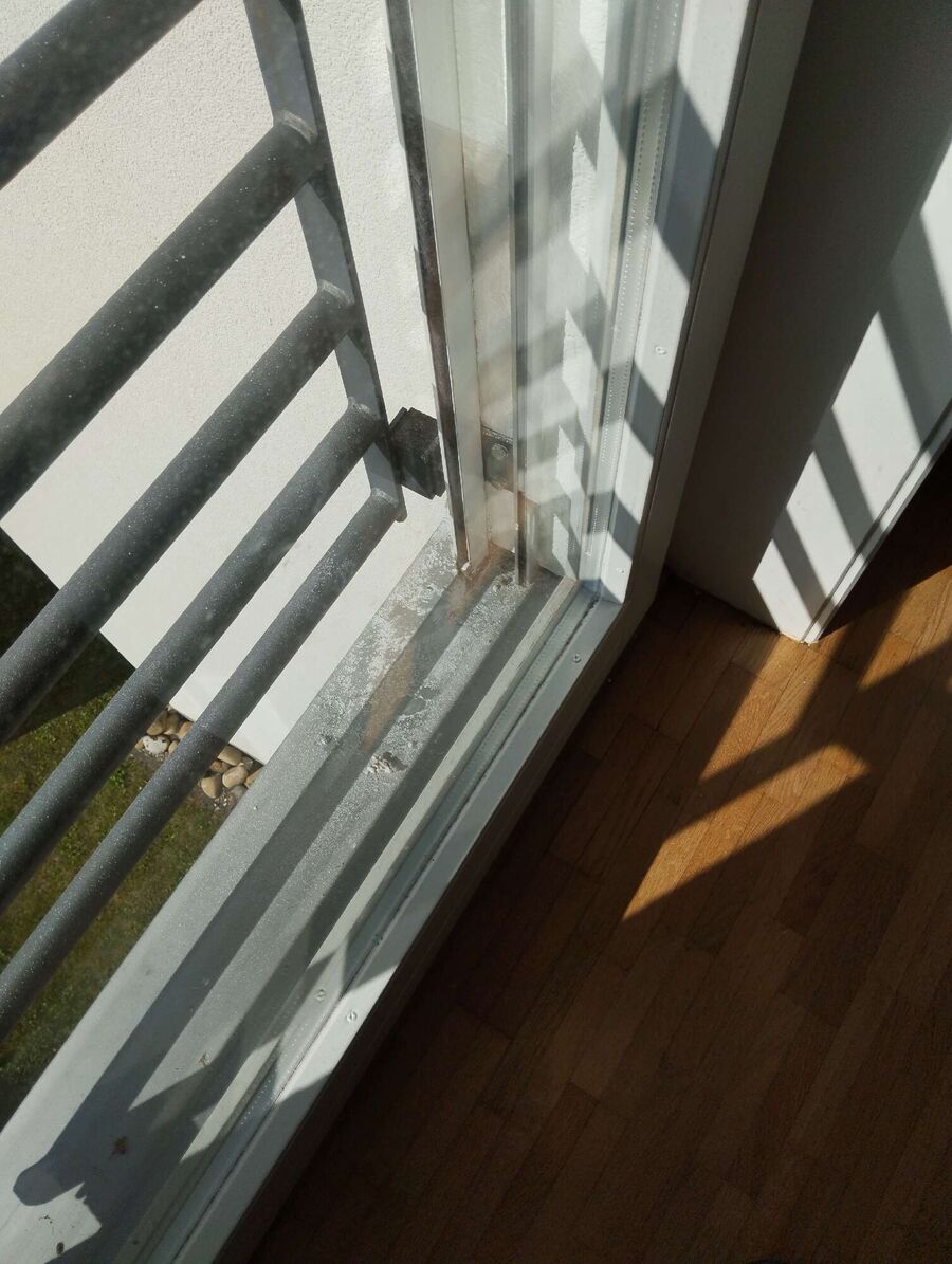  Bienennest entfernen.jpeg