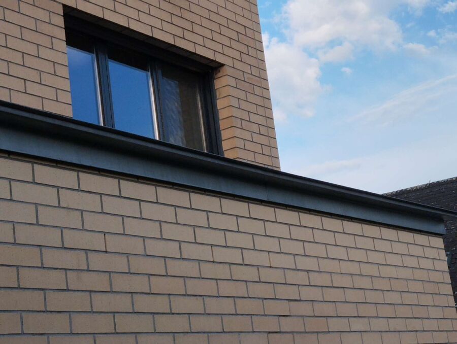  Bienennest entfernen