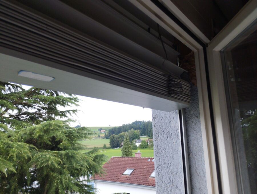 Bienen umsiedeln &  Bienennest entfernen 