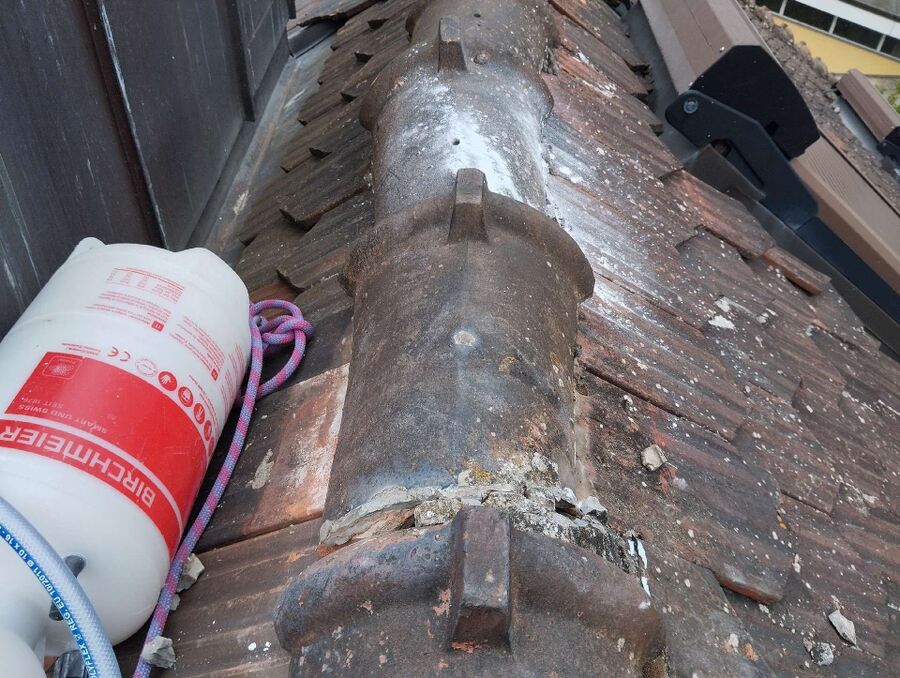  Bienennest entfernen.jpeg