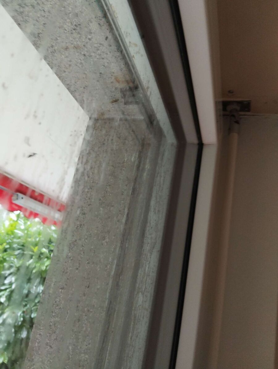  Bienennest entfernen.jpeg