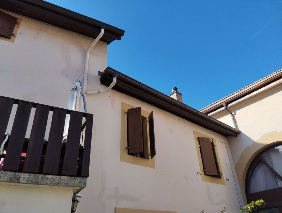  Bienennest entfernen.jpeg