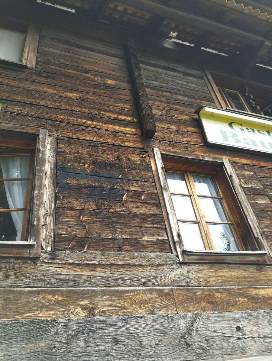  Bienennest entfernen.jpeg