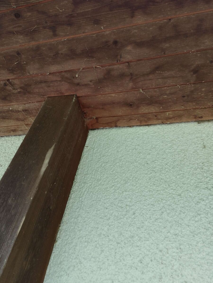  Bienennest entfernen.jpeg