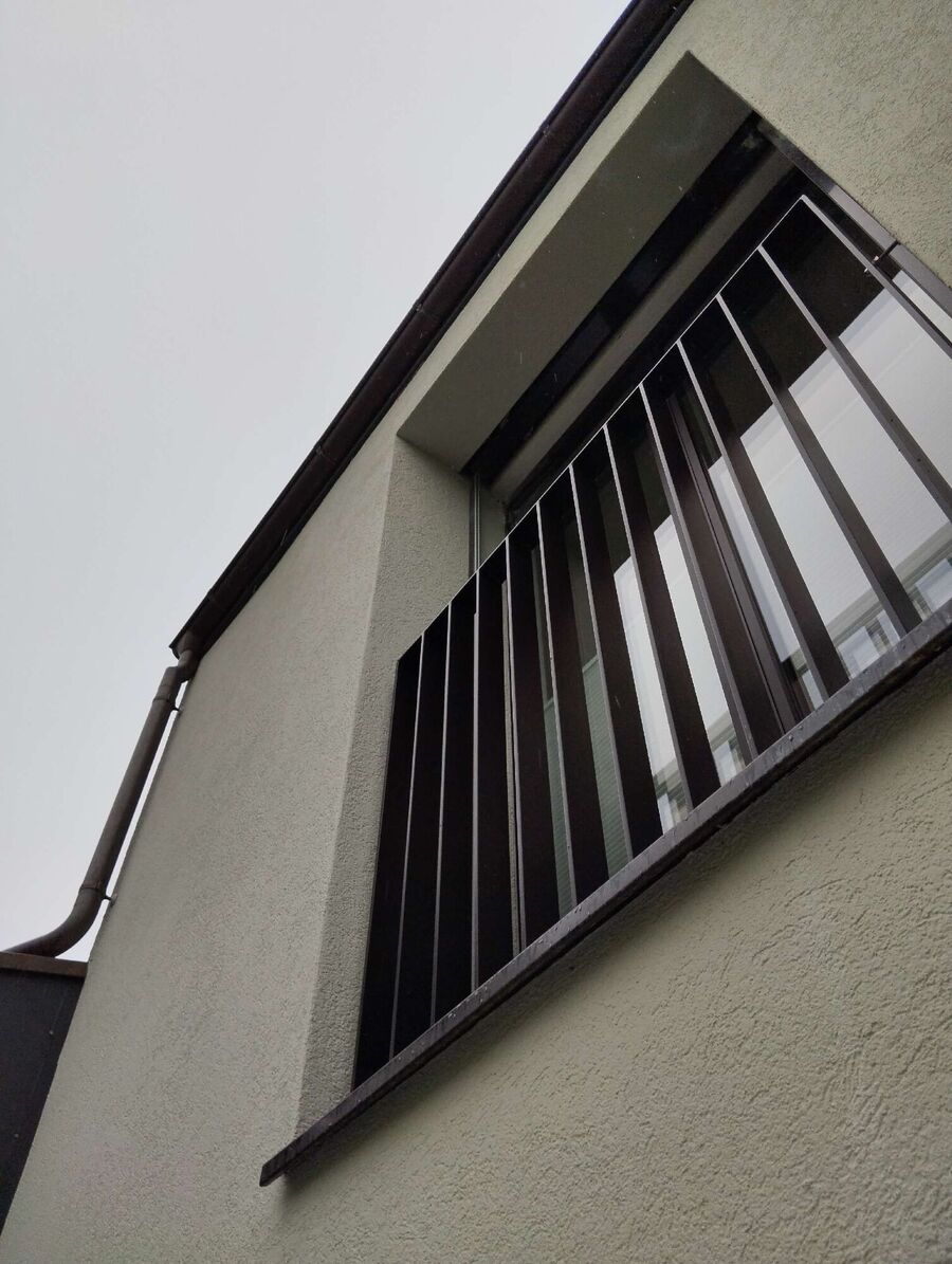  Bienennest entfernen