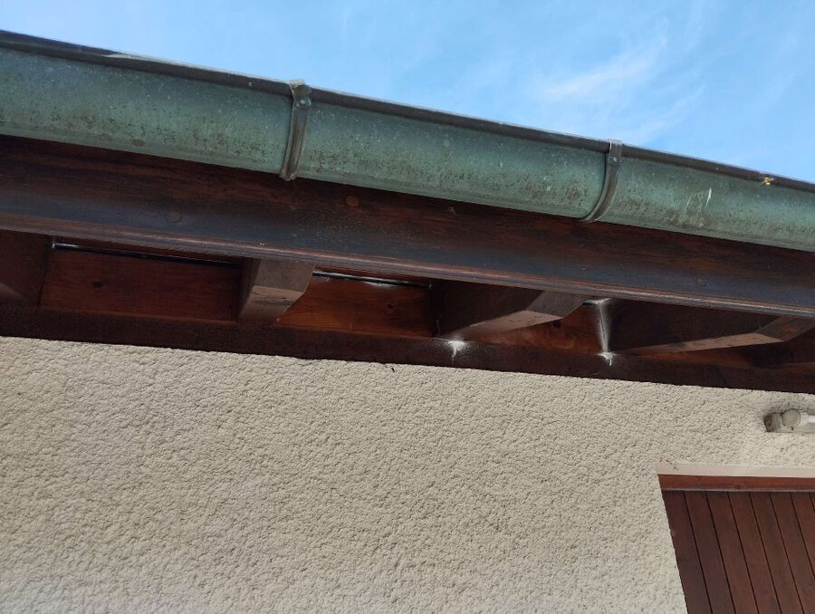  Bienennest entfernen.jpeg