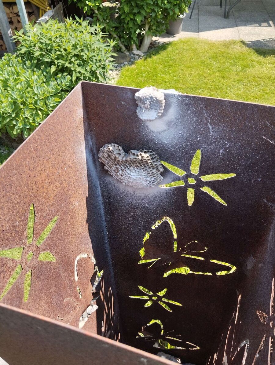  Bienennest entfernen