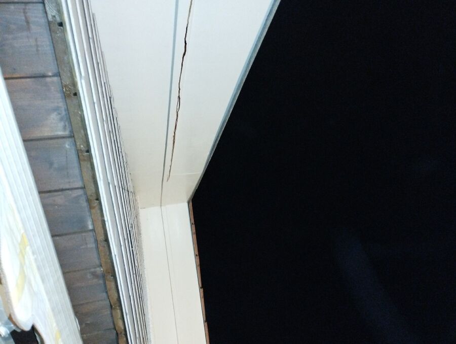  Bienennest entfernen.jpeg