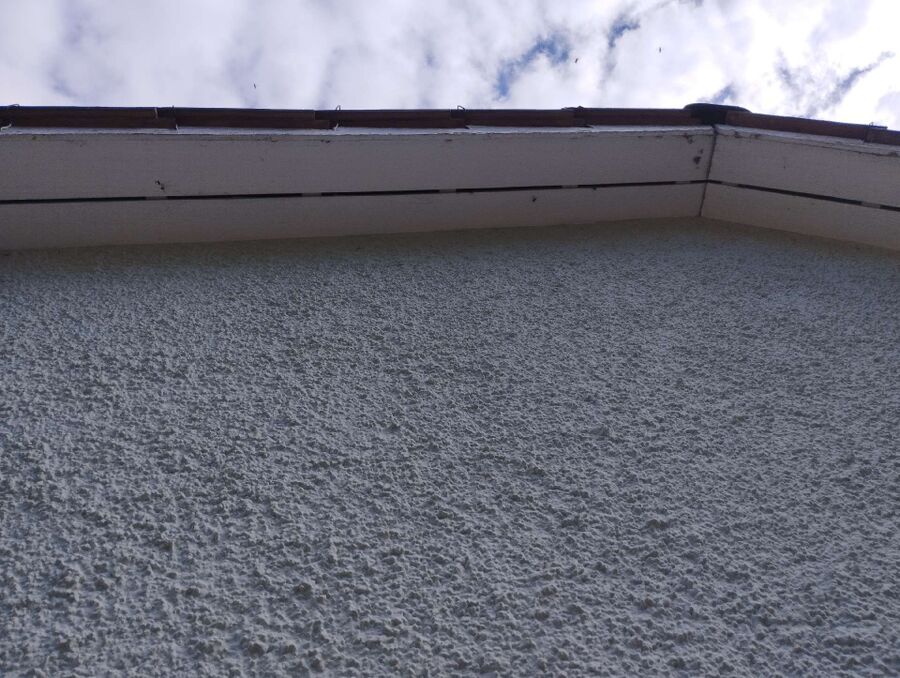  Bienennest entfernen.jpeg