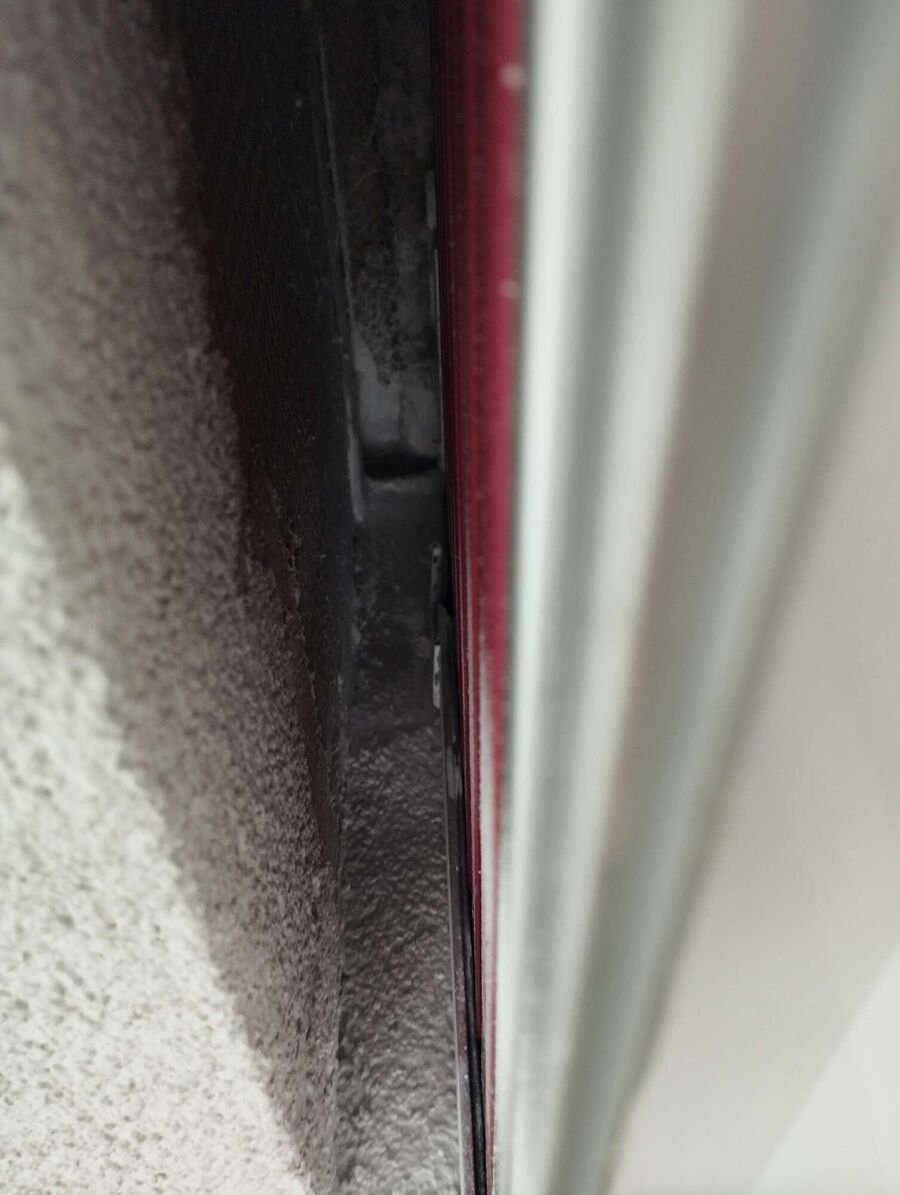 Bienen umsiedeln &  Bienennest entfernen 