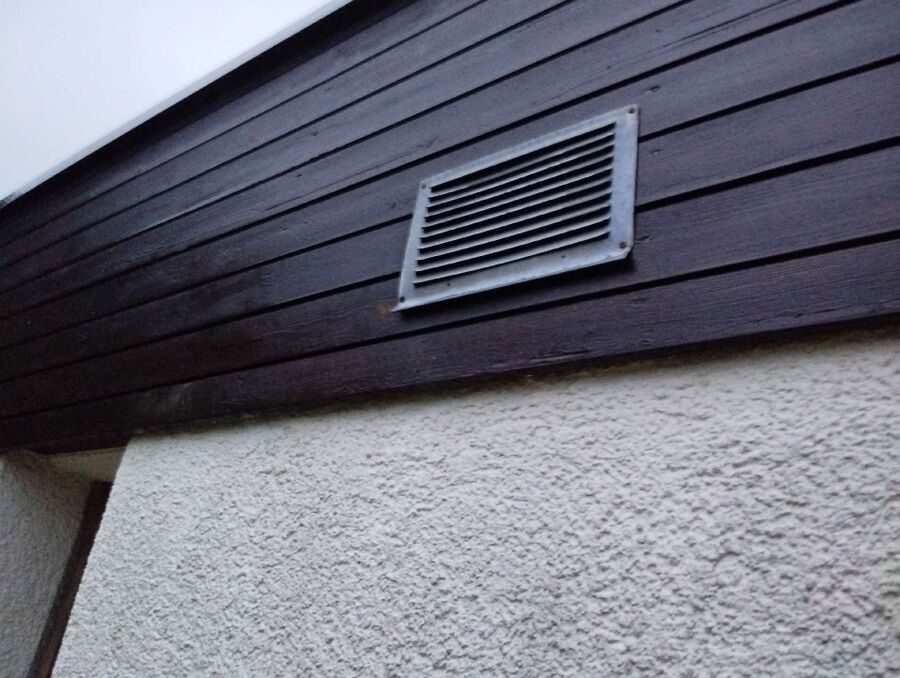  Bienennest entfernen