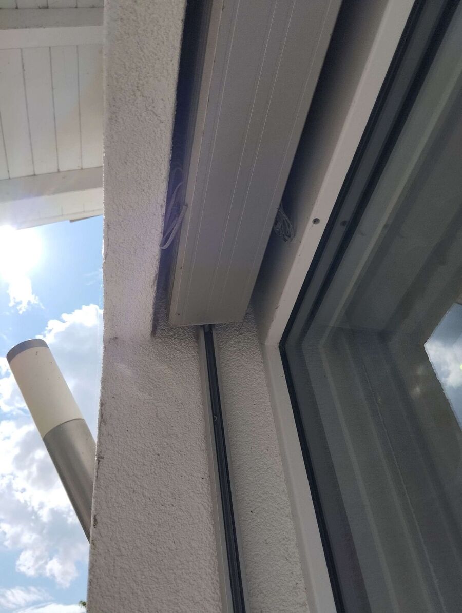  Bienennest entfernen