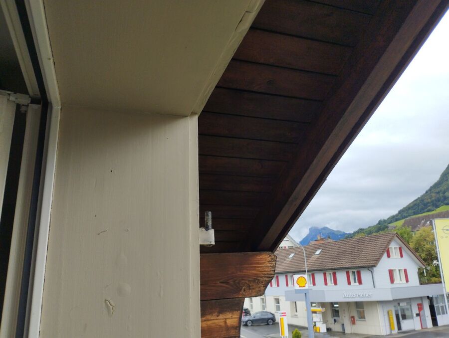 Bienen umsiedeln &  Bienennest entfernen 