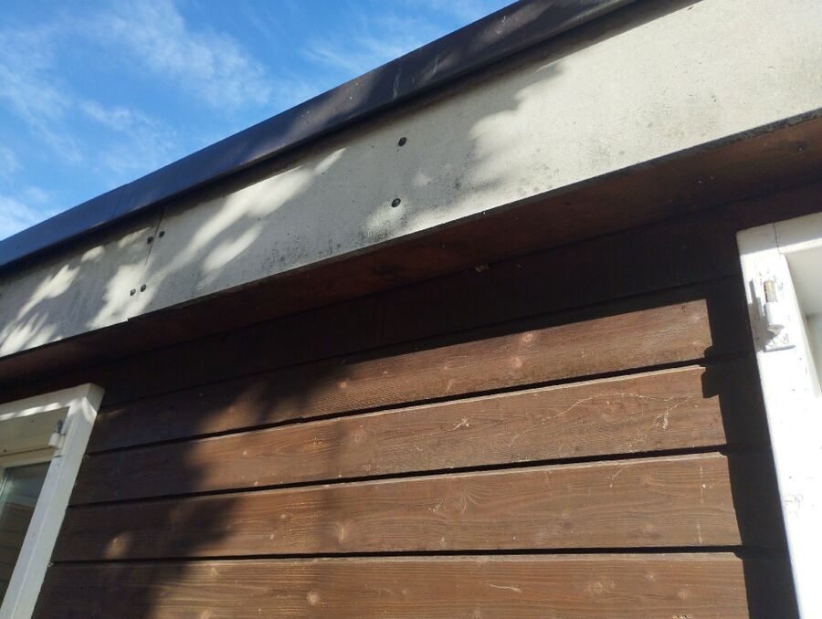  Bienennest entfernen