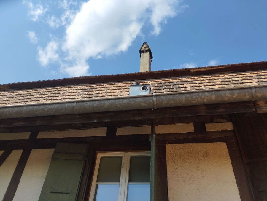  Bienennest entfernen