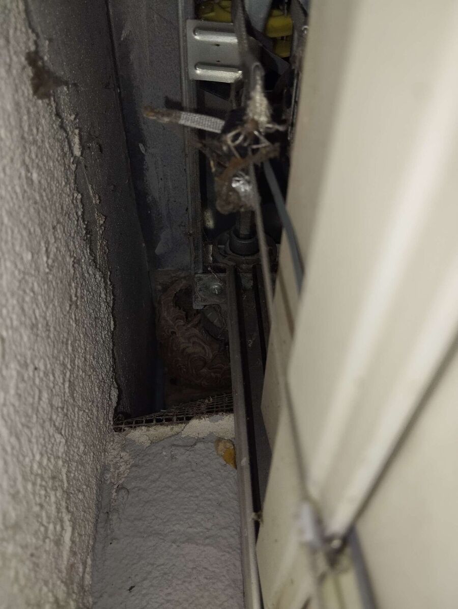  Bienennest entfernen.jpeg