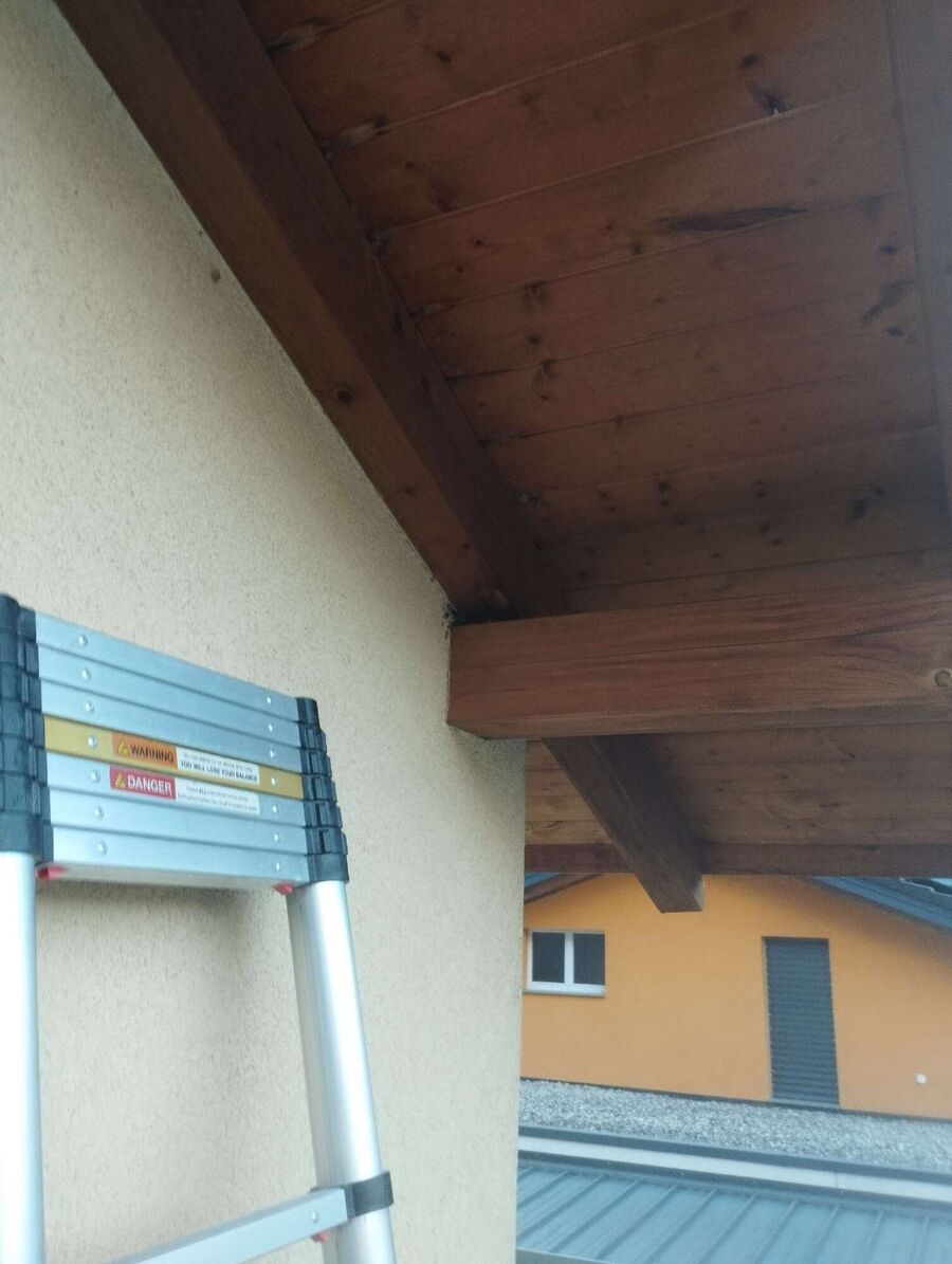  Bienennest entfernen