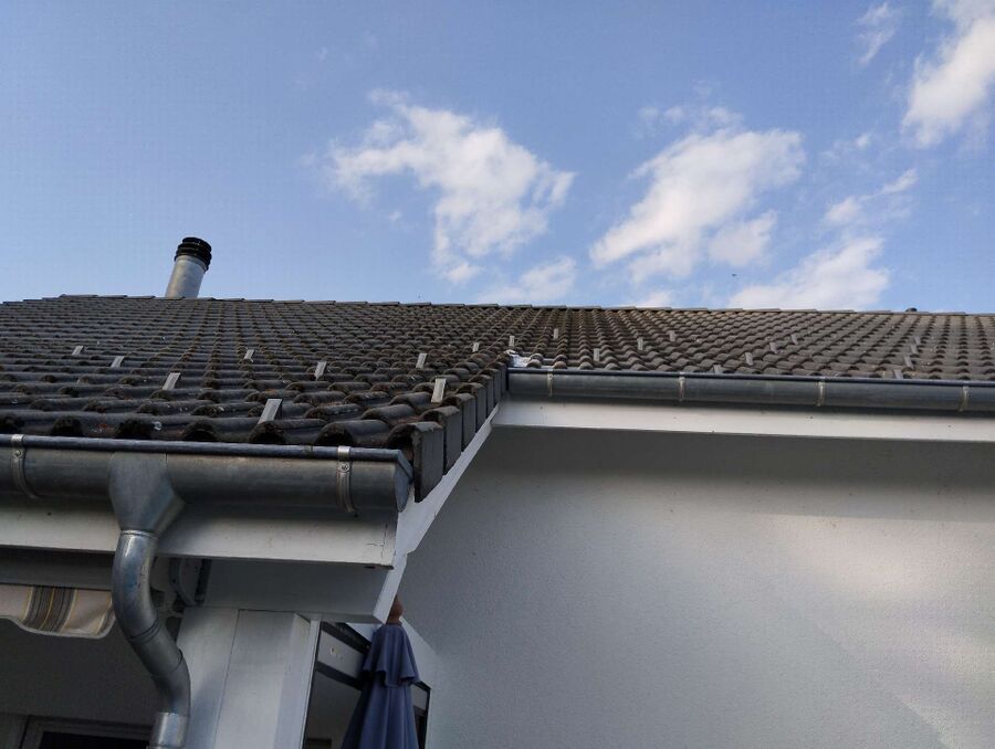  Bienennest entfernen