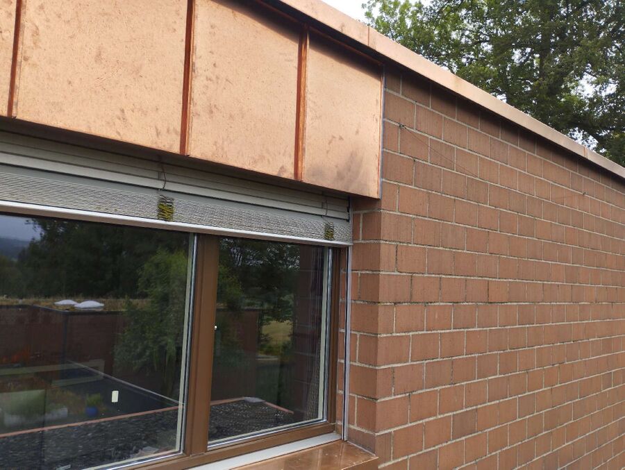  Bienennest entfernen